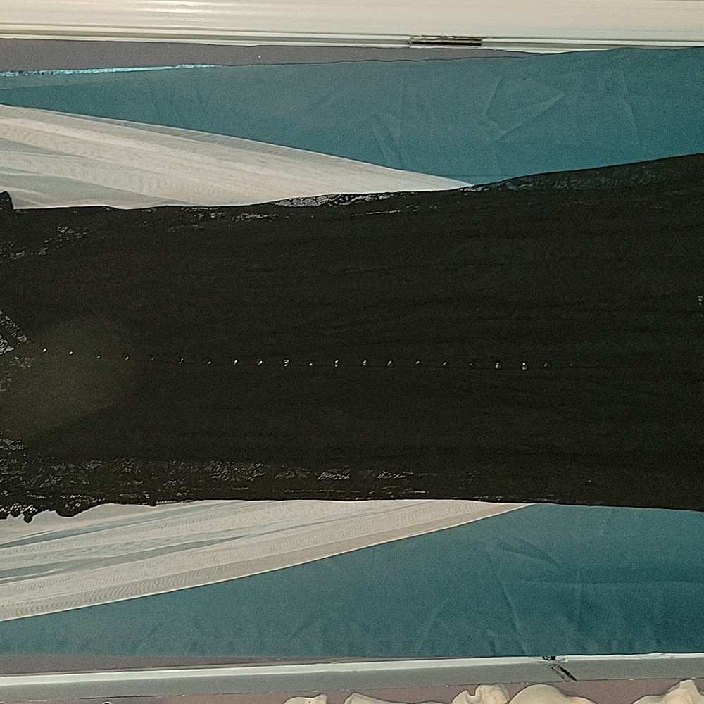 Lace overlay dress. Black underline. Spaghetti straps on underlay. Size 14-16